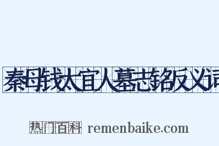 秦母钱太宜人墓志铭反义词是什么意思的图片